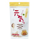すいかで元気っ茶 袋タイプ 3g 12包入