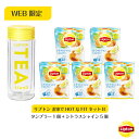 リプトン 紅茶 ブランド 紅茶 ティーバッグ お家でHOTなFITセットB タンブラー シトラスシャイン セット フレーバーティー シトラスシャイン 2g×12袋 ホット タンブラー 二重構造 保温 保冷 Lipton