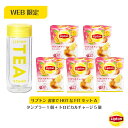 リプトン 紅茶 ブランド 紅茶 ティーバッグ お家でHOTなFITセットA タンブラー トロピカルチャージ セット フレーバーティー トロピカルチャージ 2g×12袋 ホット タンブラー 二重構造 保温 保冷 Lipton