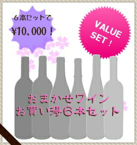 通常価格の30〜50％OFF！【送料込み】おまかせワイン6本・10000円セット【ミックスS】【5P23oct10】