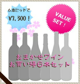 通常価格の30〜50％OFF！【送料込み】おまかせワイン6本・7300円セット【ミックスS】【5P23oct10】