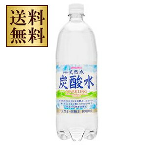 【2ケース送料無料】サンガリア　伊賀の天然水炭酸水　1000ml(1L)×24本（2ケース）【北海道・沖縄県は対象外となります。】