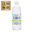 【2ケース送料無料】サンガリア　伊賀の天然水炭酸水　1000ml(1L)×24本（2ケース）【北海道・沖縄県は対象外となります。】