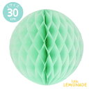 ハニカムボール ミントグリーン Lサイズ30cm 緑【ネコポ...