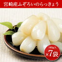 【無添加・訳あり】宮崎産 らっきょう 漬物 140g×7袋 ...
