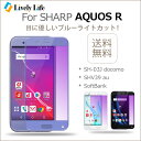 ブルーライトカット SHARP AQUOS R ガラスフィルム 目を保護 AQUOS R 保護フィルム アクオス アール フィルム 3D 曲面 SH-03J docomo SHV39 au AQUOS R SoftBank 液晶保護フィルム 5.3インチ 硬度9H 送料無料