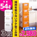 【送料無料】ゴミ箱 ごみ箱 分別ダストボックス 【ダム3】タテ型 3段 縦型 18L 54L 3分別 小物入れ スリム ペール ダストボックス 省スペース 隙間 スキマ キッチン 伸和 シンワ10P03Dec16