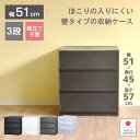 収納ケース プラスチック 引き出し 日本製【PLUST (プラスト)ベーシックFR5103】幅51cm 奥行45cm 3段 ワイド 幅広 ほこりの入りにくい壁タイプ 半透明タイプ クローゼット 押入れ 衣類収納 衣装ケース PPケース おしゃれ 新生活 寝室 10P03Dec16