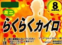 ドレンシー はらないカイロ 楽々カイロ ミニ 10P