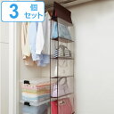 クローゼット収納 パッと見える バッグ収納 ラック5段式 3個セット ( 鞄 バッグ収納ラック バッグ かばん カバン 収納 クローゼット 吊下げ収納 吊下げ 吊り下げ 収納ラック )