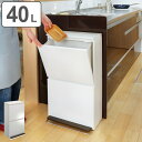分別ゴミ箱 縦型 2段 薄型 ワイド 40L ベーシックカラー ( 送料無料 ごみ箱 ペダル ダストボックス 防臭 スリム キッチン 台所 おしゃれ )