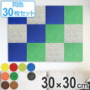 吸音パネル フェルメノン スタンダード 壁面装飾 30x30cm角 30枚セット ( 送料無料 防音 吸音 パネル ボード 防音材 吸音材 騒音対策 インテリア 壁 フェルト )