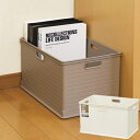 カラーボックス用 収納ボックス RE 高さ24cm( インナーケース インナーボックス 引き出し 引出し 収納ケース プラスチック コンテナ 積み重ね スタッキング 小物入れ おもちゃ キャスター取付可 )
