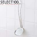 あくとり かすあげ ステンレス 貝印 セレクト100 あくとり&かすあげ ( SELECT100 アク取りお玉 アク取り アク取りスプーン かす揚げ カス揚げ おたま 調理小道具 ステンレス製 KAI )