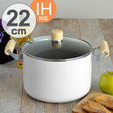 両手鍋 シチューポット ノルディーズ 22cm ふっ素加工 ...