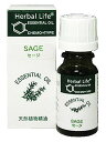 【生活の木 Herbal Life セージ 10ml】Herbal※キャンセル・変更・返品交換不可生活の木HerbalLifeセージ10ml/HerbalLife(ハーバルライフ)/セージ(エッセンシャルオイル)//税込\5250以上送料無料