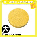 (メール便全国送料無料)(専用スポンジ)低周波治療器 スーパーテクトロン HP200専用替えスポンジ 1個入り【smtb-s】