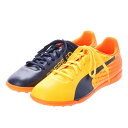 プーマ PUMA ユニセックス サッカー トレーニングシューズ エヴォスピード 17.5 TT 104026 3417