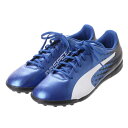 プーマ PUMA ユニセックス サッカー トレーニングシューズ エヴォスピード 17.5 TT 104026 3416