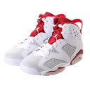 ナイキ NIKE kinetics NIKE AIR JORDAN 6 RETRO (WHITE)