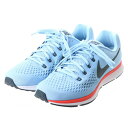 ナイキ NIKE メンズ ランニングシューズ ナイキ エア ズーム ペガサス 34 880555404 2073
