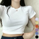 プレミアムケー PREMIUM-K リブクロップドTシャツ (Ivory)