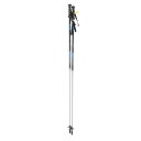 サロモン Salomon ユニセックス スキーポール X-DRIVE ALUMINIUM L38181300 ブラック (ブラック/グレー)