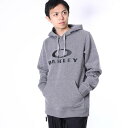 I[N[ OAKLEY jZbNX Xm[{[h EFA DWR ELLIPSE P/O HOODIE 461394 iO[j