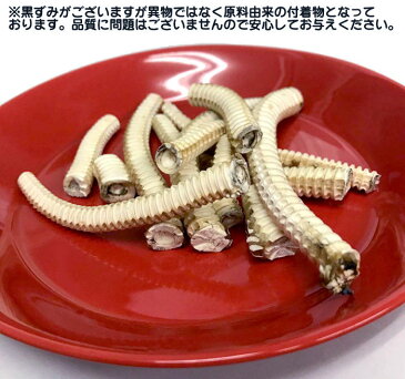 ロゴスペット 国産 サメ軟骨ホール 中型犬用・大型犬用 犬用 100g