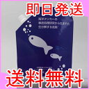 海へ【がんこ本舗】大きな海へ詰替パック450ml・3個パック 【宅配便送料無料】即日発送！ ★選べるプレゼント付★ 洗濯洗剤 洗剤 洗濯用洗剤　液体洗剤