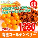 有機 ゴールデンベリー 200g 有機JAS(オーガニック認証原料 契約農家栽培) スーパーフード ドライフルーツ インカベリー ほおずき LOHAStyle