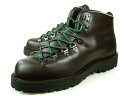 DANNER MTN LIGHT 230800 MEN EE GORE-TEXダナー マウンテン ライト 2 ゴアテックス激安 メンズ アウトドアブーツ【送料無料】　