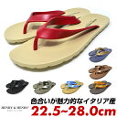 【 お買い物マラソン ポイントアップ (6月27日