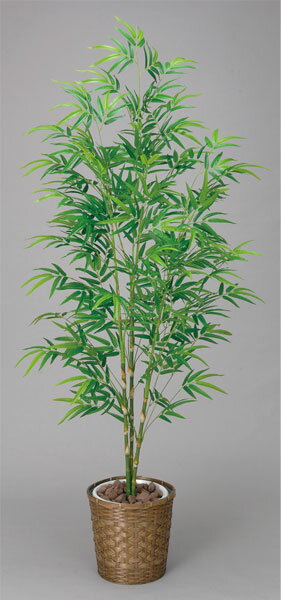 ★送料無料★ 青竹 観葉植物 180cm バンブー 光触媒 緑 WC3506-250