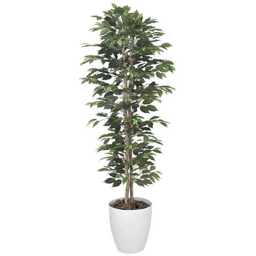 ★送料無料★ ベンジャミン 観葉植物 160cm 人工樹 樹木 WC3803-250