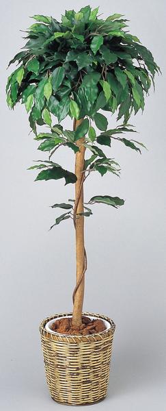 ★送料無料★ ベンジャミン 観葉植物 120cm 人工樹 植木 WC4005-150