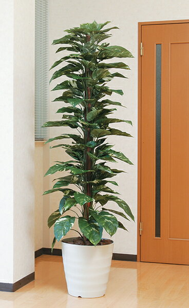 ̵ ݥȥ տʪ 180cm  ɽ ý  WC3706-350