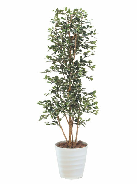 ̵ ޥ տʪ 170cm ƥꥢ WC3801-400