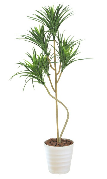 ̵ å տʪ 120cm ߥơ  WC4204-150