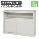 【法人限定】 ハイカウンター W1200mm 120cm 受付 インフォメーション 記載台 メモ台 電話台 接客用 書庫 IHC-1200