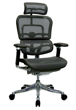 ★新品★エルゴヒューマンプロ!ヘッドレスト付きEEHP-HAM