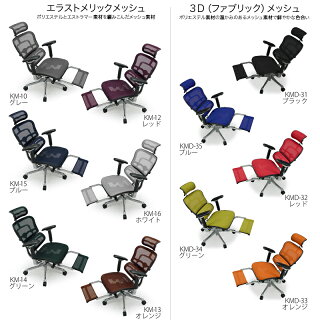 ★ポイント10倍送料無料★エルゴヒューマンプロErgohumanProオットマンヘッドレスト肘付きキャスター付きメッシュチェアエグゼクティブEEHP-LPL