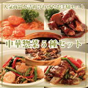 【送料無料】中華惣菜 5種セット！麻婆豆腐 海老のチ