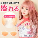 【1000円OFFクーポン対象】 ヌードブラ シリコンブラ 水着用 はみ出ない サイドホック シリコン ヌードブラ | シリコン ブラ 水着 用 おすすめ 粘着 力 強い ストラップレス ブラジャー ストラップレスブラ 盛りブラ 下着 ランジェリー レディース