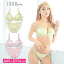 ブラジャー ショーツ セット 薔薇 モチーフ ラメ ストライ...