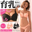 ブラジャー ショーツ セット フロントクロス 脇高 育乳ブラ ブラジャー & フルバック & Tバック ショーツ | 大きいサイズ 下着 レディース セット tバック ティーバック ランジェリー セクシー ランジェリー ブラ セット 上下セット