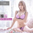【送料無料&1000円OFFクーポン対象】 ブラジャー ショーツ シック グレイスフル ローズ 刺繍 ブラジャー & バック透け フルバック ショーツ | 下着 レディース セット ランジェリー かわいい ランジェリー ブラ セット ブラ ショーツ セット 上下セット