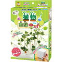 植物実験キット スプラウト 野菜 栽培 夏休み 自由研究 実験セット 子供用 小学生 おもしろ実験 簡単 科学 化学 理科