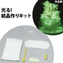 光る!結晶作り 実験 グッズ 簡単 夏休み 自由研究 小学生 中学生 科学 理科 セット 自由 研究 工作 キット おもしろ実験