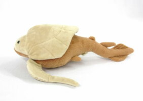 Bothriolepis